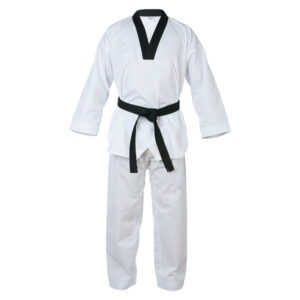 Taekwondo